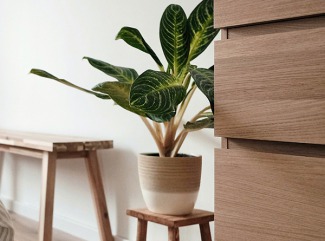 Yaşam Alanlarının Ruhunu Yansıtan Mobilyalar: Koltuk ve Sandalyelerde Doğallık ve Zarafet